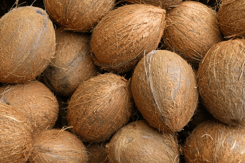 Fresh Coconuts on Table